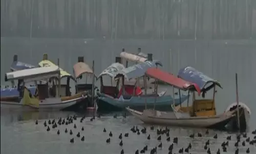 Srinagar में तापमान -3 डिग्री सेल्सियस तक गिर गया, उत्तर भारत में शीत लहर का प्रकोप Srinagar में तापमान -3 डिग्री सेल्सियस तक गिर गया, उत्तर भारत में शीत लहर का प्रकोप