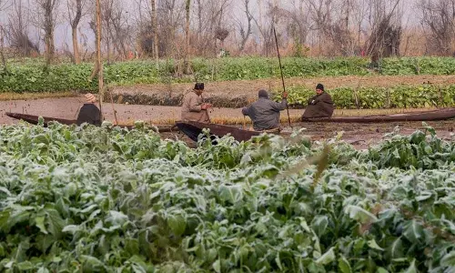 Srinagar में -5.4°C तापमान के साथ सीजन की सबसे ठंडी रात दर्ज की