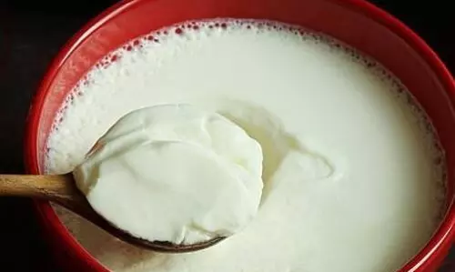 सर्दियों में दही बनाना मुश्किल होता सर्दियों में दही बनाना मुश्किल होता