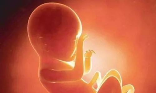 रेप पीड़िता को रायपुर में गर्भपात कराने की मिली अनुमति