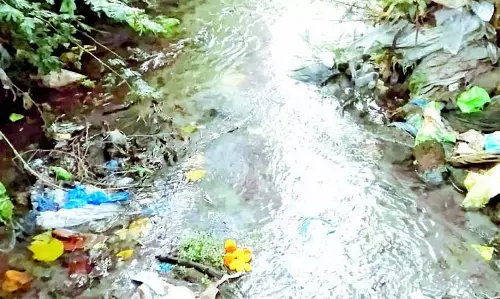 Ponda नाला डंपिंग ग्राउंड में तब्दील, किसानों ने खेत छोड़े