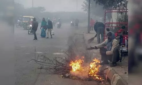 Delhi: शुरुआती दिनों में तापमान 14 साल के निचले स्तर 4.9 डिग्री सेल्सियस पर पहुंचा