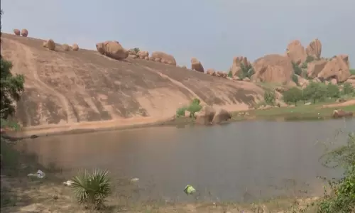 Tamil Nadu: ग्रामीणों ने अरिथपट्टी में टंगस्टन खनन का किया विरोध