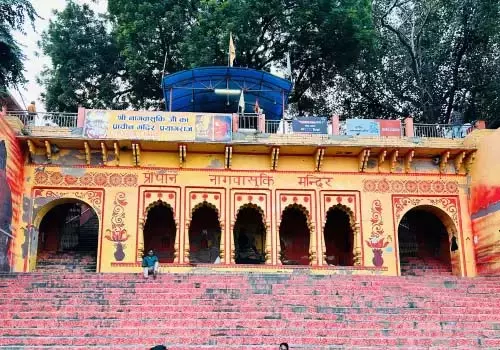 UP: महाकुंभ से पहले योगी के प्रयासों से नागवासुकी मंदिर का पुनरुद्धार UP: महाकुंभ से पहले योगी के प्रयासों से नागवासुकी मंदिर का पुनरुद्धार