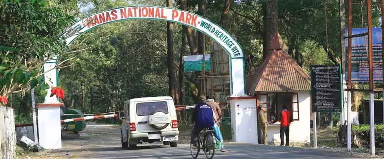 Assam : मानस राष्ट्रीय उद्यान में पर्यटकों की बढ़ती संख्या के साथ राजस्व संग्रह Assam : मानस राष्ट्रीय उद्यान में पर्यटकों की बढ़ती संख्या के साथ राजस्व संग्रह