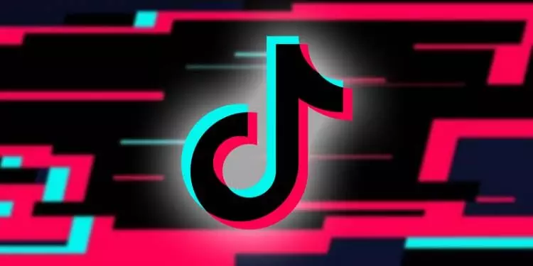 TikTok ने कनाडा सरकार के देश में कारोबार बंद करने के आदेश को चुनौती दी