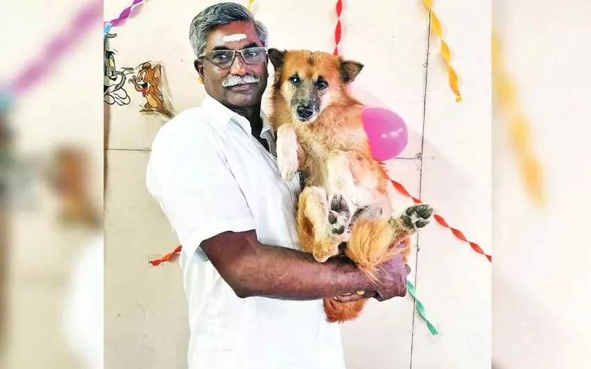 Kerala : अलप्पुझा के कुत्ते के मालिक ने अपने प्यारे पालतू जानवर का अंतिम संस्कार किया Kerala : अलप्पुझा के कुत्ते के मालिक ने अपने प्यारे पालतू जानवर का अंतिम संस्कार किया