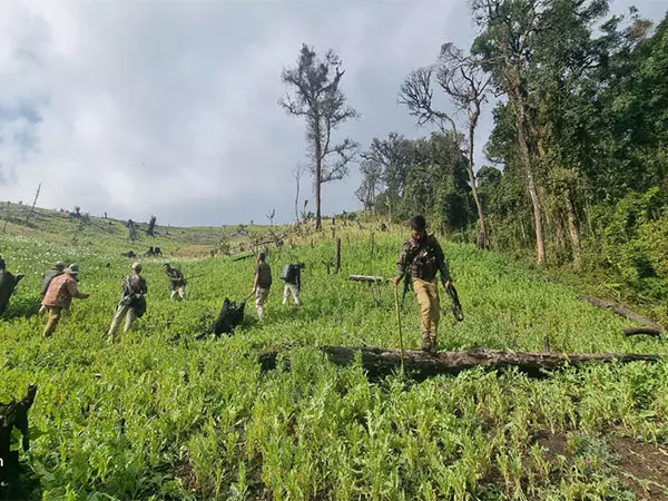 Manipur: पुलिस ने कंगपोकपी में अवैध अफीम की खेती के मामले में एफआईआर दर्ज की Manipur: पुलिस ने कंगपोकपी में अवैध अफीम की खेती के मामले में एफआईआर दर्ज की