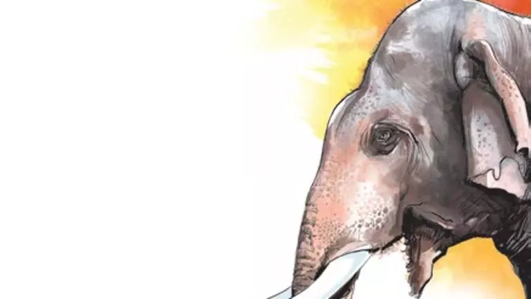 Odisha में हाथी के हमले में दो लोगों की मौत से तनाव Odisha में हाथी के हमले में दो लोगों की मौत से तनाव
