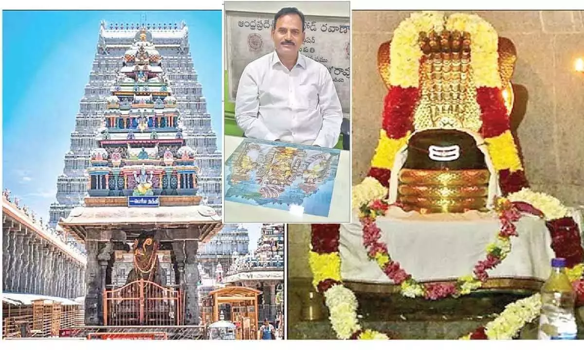 तिरुवन्नामलाई RTC के लिए प्रमुख राजस्व अर्जित करने वाला स्थान बन गया तिरुवन्नामलाई RTC के लिए प्रमुख राजस्व अर्जित करने वाला स्थान बन गया