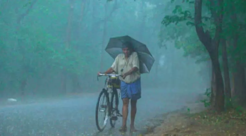 केरल में भारी बारिश की आशंका, IMD ने 3 जिलों में रेड अलर्ट जारी किया केरल में भारी बारिश की आशंका, IMD ने 3 जिलों में रेड अलर्ट जारी किया