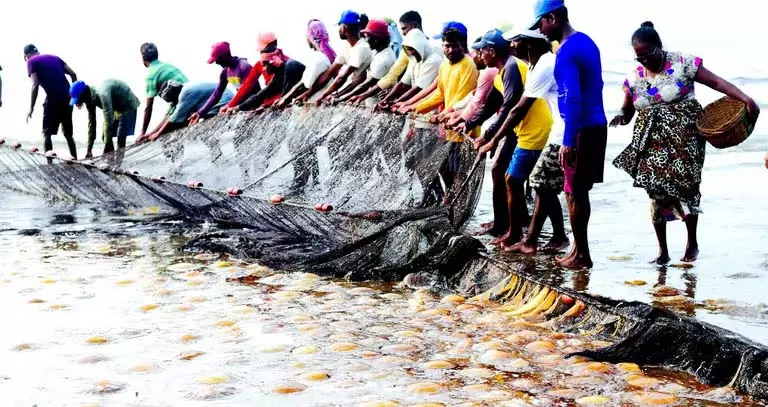Goa के मछुआरों की उपेक्षा से आजीविका-समुद्री पारिस्थितिकी तंत्र को खतरा Goa के मछुआरों की उपेक्षा से आजीविका-समुद्री पारिस्थितिकी तंत्र को खतरा