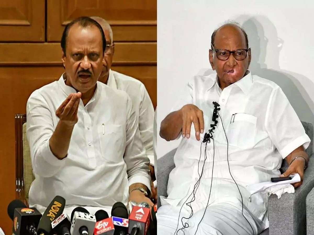 क्या अजित पवार-शरद पवार आएंगे एक साथ? शिवसेना नेता का बड़ा दावा: कहा... क्या अजित पवार-शरद पवार आएंगे एक साथ? शिवसेना नेता का बड़ा दावा: कहा...