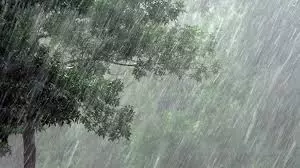 Tamil Nadu: भारी बारिश के कारण कई जिलों में स्कूल बंद Tamil Nadu: भारी बारिश के कारण कई जिलों में स्कूल बंद