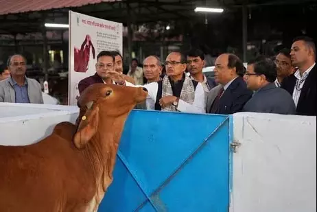 Punjab-UP के किसान भी पराली का प्रबंधन करने लगे हैं: चौहान Punjab-UP के किसान भी पराली का प्रबंधन करने लगे हैं: चौहान