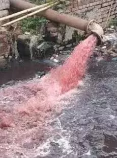 Ludhiana : सीवर लाइन-रंगाई इकाई मामले में एनजीटी ने मांगी रिपोर्ट Ludhiana : सीवर लाइन-रंगाई इकाई मामले में एनजीटी ने मांगी रिपोर्ट