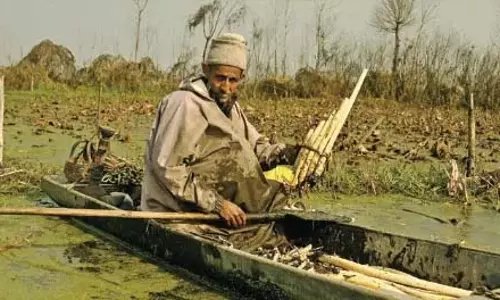 J&K: कश्मीर में रात के तापमान में सुधार