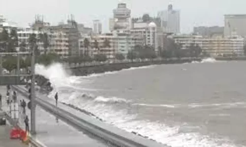 Mumbai में उतार-चढ़ाव से भरा सप्ताह उत्साह के साथ समाप्त हुआ