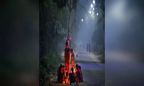 दिल्ली-एनसीआर में कोल्ड वेव की दस्तक, न्यूनतम तापमान 4 डिग्री पहुंचा दिल्ली-एनसीआर में कोल्ड वेव की दस्तक, न्यूनतम तापमान 4 डिग्री पहुंचा