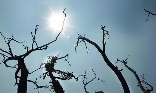 दिसंबर में Kerala में सर्दी का कहर जारी