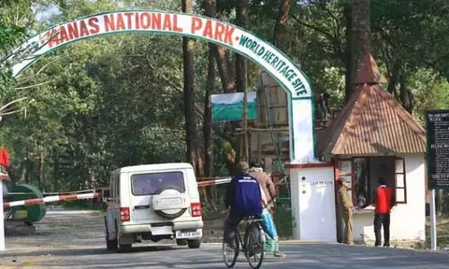 Assam : मानस राष्ट्रीय उद्यान में पर्यटकों की बढ़ती संख्या के साथ राजस्व संग्रह