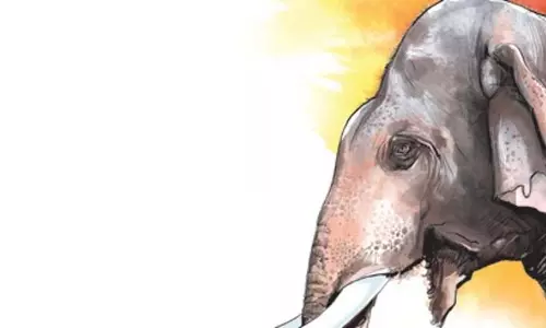 Odisha में हाथी के हमले में दो लोगों की मौत से तनाव