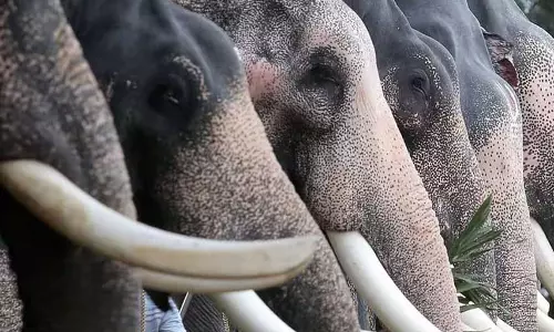 Kerala हाईकोर्ट ने देवस्वओम अधिकारी को फटकार लगाई