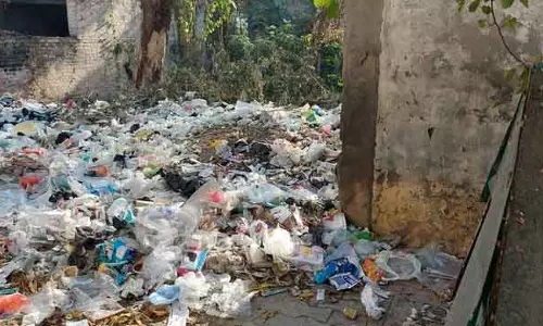 Phagwara में कूड़े के ढेर