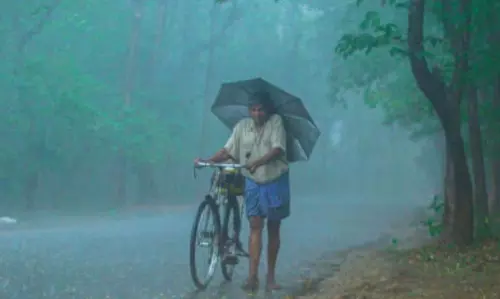 केरल में भारी बारिश की आशंका, IMD ने 3 जिलों में रेड अलर्ट जारी किया केरल में भारी बारिश की आशंका, IMD ने 3 जिलों में रेड अलर्ट जारी किया