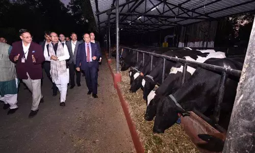 Haryana : 23 फसलों को एमएसपी पर खरीदने के लिए हरियाणा की सराहना की Haryana : 23 फसलों को एमएसपी पर खरीदने के लिए हरियाणा की सराहना की