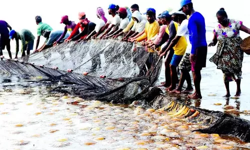 Goa के मछुआरों की उपेक्षा से आजीविका-समुद्री पारिस्थितिकी तंत्र को खतरा Goa के मछुआरों की उपेक्षा से आजीविका-समुद्री पारिस्थितिकी तंत्र को खतरा