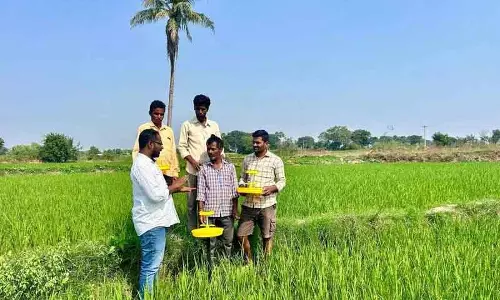 Siddipet के किसानों को कीटनाशक के उपयोग से बचा रहे
