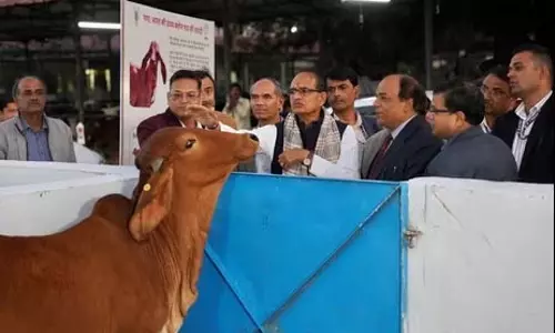 Punjab-UP के किसान भी पराली का प्रबंधन करने लगे हैं: चौहान Punjab-UP के किसान भी पराली का प्रबंधन करने लगे हैं: चौहान