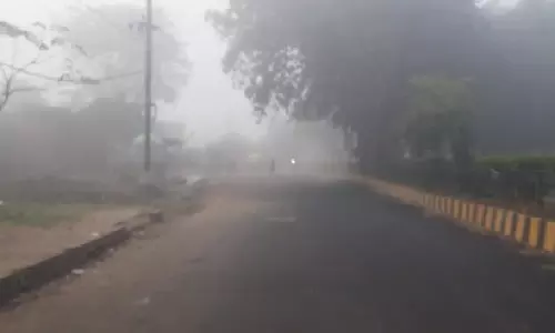 IMD ने ओडिशा के जिलों में घने से बहुत घने कोहरे और हल्के से मध्यम कोहरे की भविष्यवाणी की