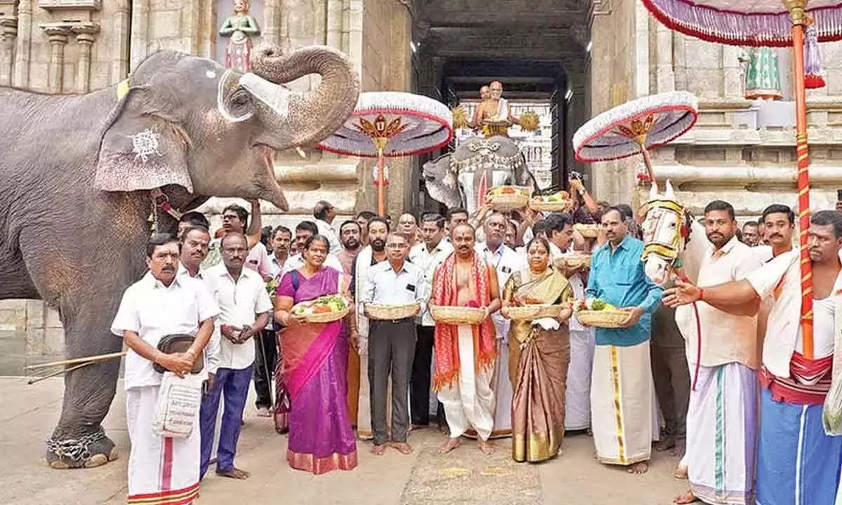 टीटीडी ईओ श्रीरंगम मंदिर को पट्टू वस्त्रम प्रदान करता