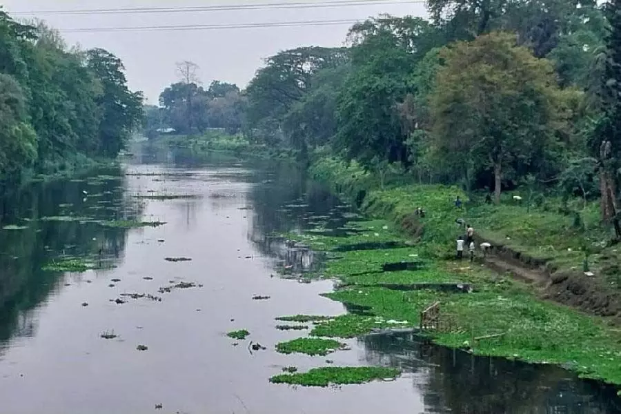 Bengal सिंचाई विभाग जलपाईगुड़ी में कराला नदी के 15 किलोमीटर लंबे हिस्से की खुदाई करेगा