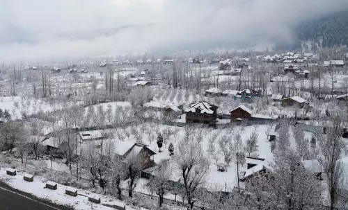 Kashmir मैदानों में मौसम की पहली बर्फबारी लंबे सूखे के बाद राहत लेकर आई Kashmir मैदानों में मौसम की पहली बर्फबारी लंबे सूखे के बाद राहत लेकर आई