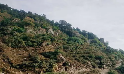 Himachal: दुर्घटना संभावित क्षेत्रों पर तत्काल ध्यान देने की आवश्यकता