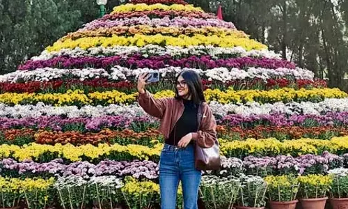 Chandigarh: गुलदाउदी शो आज खिलेगा, लेकिन कोई पुरस्कार नहीं Chandigarh: गुलदाउदी शो आज खिलेगा, लेकिन कोई पुरस्कार नहीं