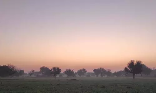 Weather: प्रदेश में इस सप्ताह भी बारिश नहीं Weather: प्रदेश में इस सप्ताह भी बारिश नहीं