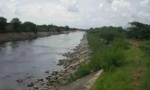 Hyderabad: लगातार दूसरे साल 4 लाख एकड़ में यासांगी खतरे में Hyderabad: लगातार दूसरे साल 4 लाख एकड़ में यासांगी खतरे में
