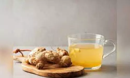 Better पाचन और आंत स्वास्थ्य के लिए 7 हर्बल चाय Better पाचन और आंत स्वास्थ्य के लिए 7 हर्बल चाय