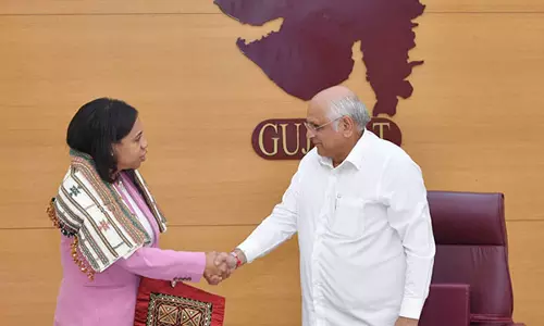 CM पटेल ने गुजरात-न्यूजर्सी सिस्टर-स्टेट साझेदारी को आगे बढ़ाया