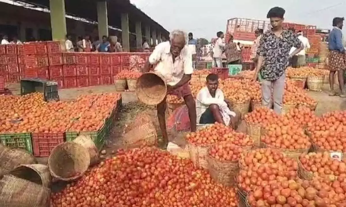 Andhra: अत्चन्नायडू ने टमाटर की कीमत में गिरावट पर चिंता व्यक्त की