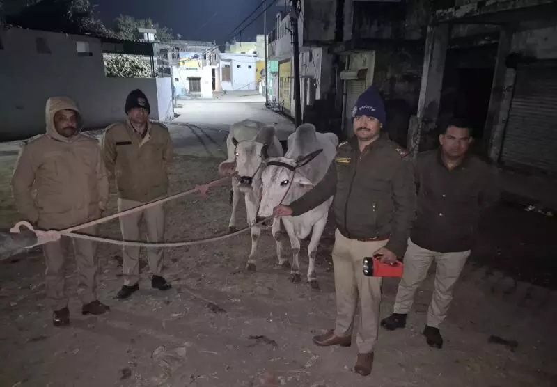 Haridwar पुलिस ने गौवंशीय पशुओं को कटने से बचाया, तस्कर मौके से फरार