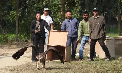 Assam: बचाए गए छह हिमालयी गिद्धों को कामरूप के जंगल में वापस छोड़ा गया Assam: बचाए गए छह हिमालयी गिद्धों को कामरूप के जंगल में वापस छोड़ा गया