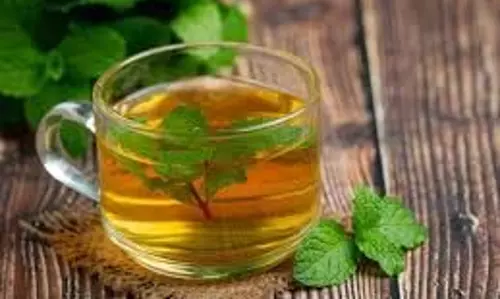Health: रोज पिएं एक गिलास तुलसी के पत्तों का पानी, जड़ से खत्म हो जाएंगी ये बीमारियां