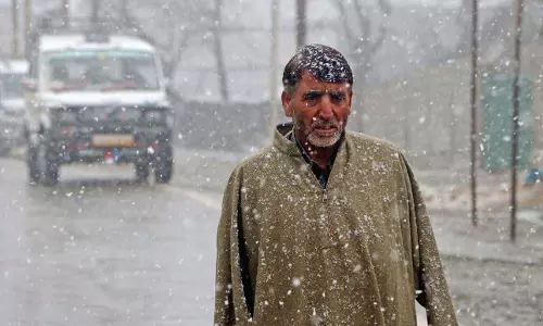 J&K: Valley shivers after snowfall