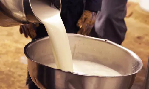 कच्चे दूध पीने वालों को फ्लू वायरस का खतरा, वैज्ञानिक चेतावनी कच्चे दूध पीने वालों को फ्लू वायरस का खतरा, वैज्ञानिक चेतावनी