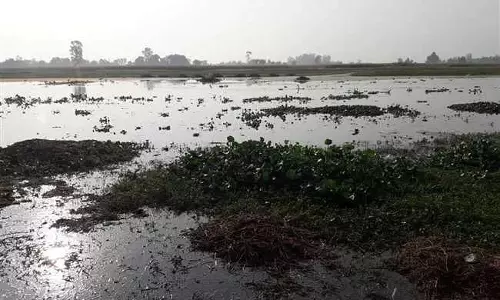 EPG ने अतिरिक्त 30,000 आर्द्रभूमियों के संरक्षण के आदेश देने वाले SC के निर्देश का स्वागत किया